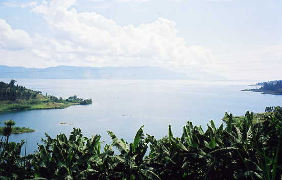 Kivu View