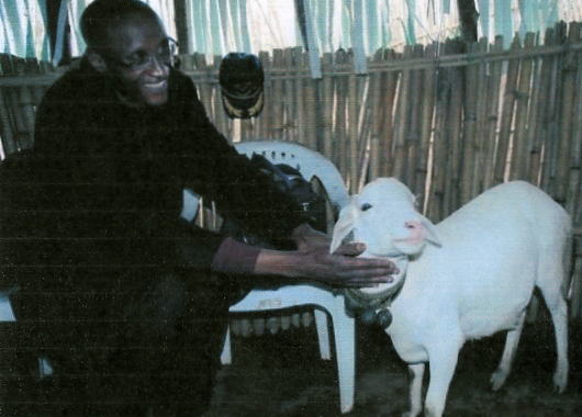 Nkunda Goat
