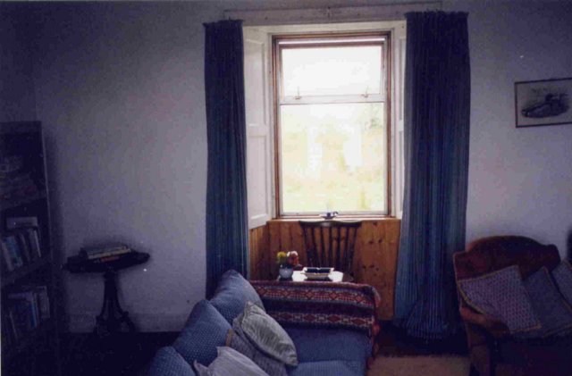 Living Room Window